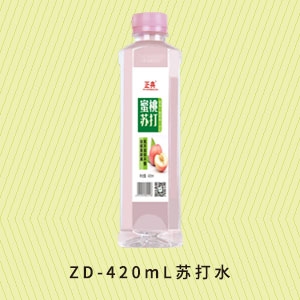 东莞ZD-420mL苏打水